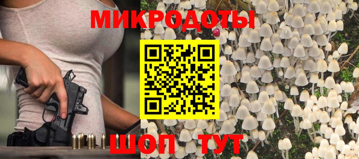 Псилоцибиновые грибы ЛСД Кингисепп